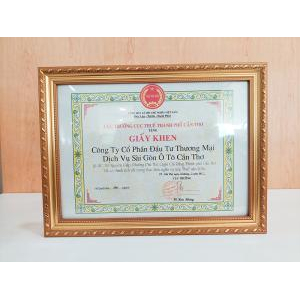 VIII. Giấy chứng nhận, bằng khen